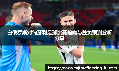 白俄罗斯对匈牙利足球比赛前瞻与胜负预测分析分享